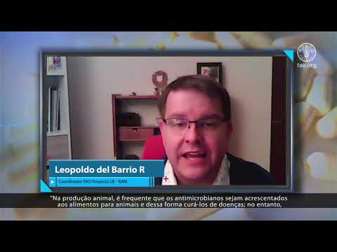 Hablemos de Antibióticos - Cápsula informativa 1 - FAO