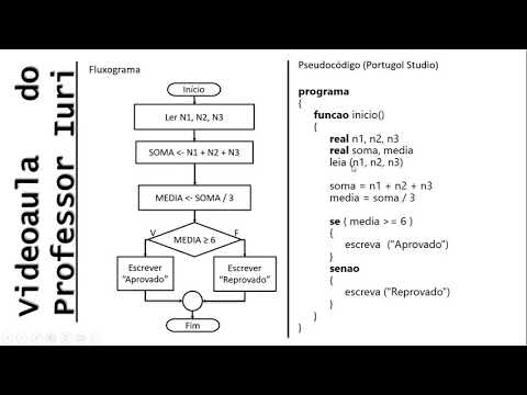 Formas de Representação de Algoritmos