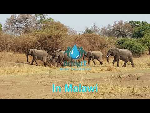 Malawi Water Crisis Borewell Restoration Program