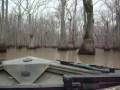 Cache River Duck Hunting 