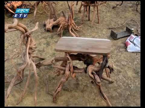 গাছের শিকড়ের আসবাবপত্র দিয়ে ভাগ্য বদল