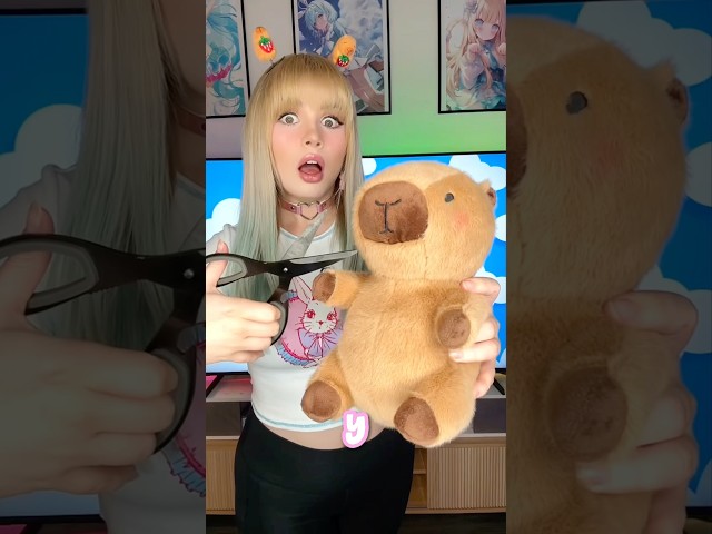 Vídeo relacionado con Unidad De Capibara - Muñecas De Peluche Eléctricas, Divertidas Peluche De Capibara, Lindo Animal De Peluches Con Mochila Para Tortugas | Peluches Interactivo Diseño Moderno Creat