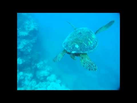 The Cook Islands - Unspoiled ocean paradise