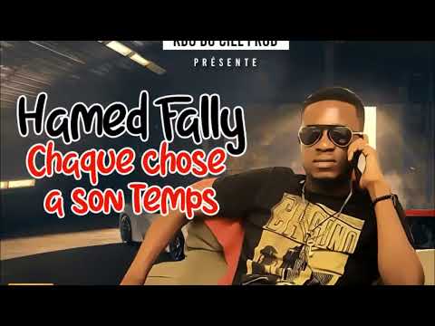 DJ HAMED FALLY feat DJ LEO   CHAQUE CHOSE A SON TEMPS