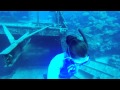 Freediving in Bermuda~The Hermes & Southwest Breaker, South West Breaker, Bermuda