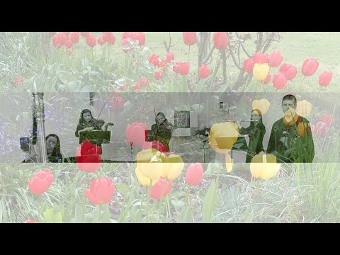 Vox Hiberniae - Súile an Choilm/Eyes of the Dove (Ronan McDonagh)