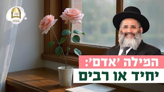 המילה 'אדם': יחיד או רבים? | רגע של אור עם מו"ר הרב ישראל אברג'ל שליט"א