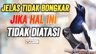 Download lagu Dijamin Kacer Mau Bongkar Isian Tidak Monoton mp3