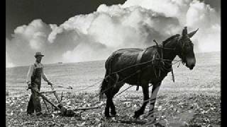 John Hammond - Get Behind The Mule