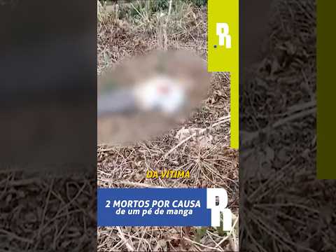 Duas mortes pela poda de mangueira: história chocante de MG #curiosidades