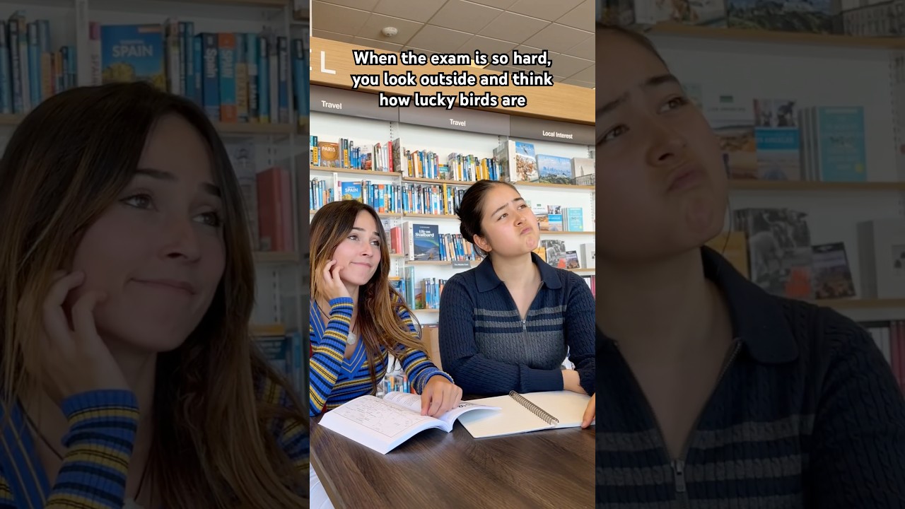 They’re so lucky they don’t have exams @AndraGoganRo #sofimanassyan #relatable #school