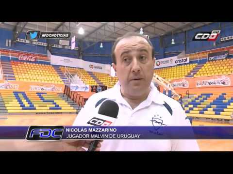 Colegio Los Leones de Quilpué espera debut en Liga de Las Américas