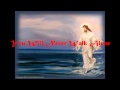 You Will Never Walk Alone lyrics( Point of grace)