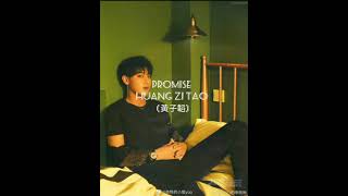 Zi Tao-Promise [sub español/pinyin]