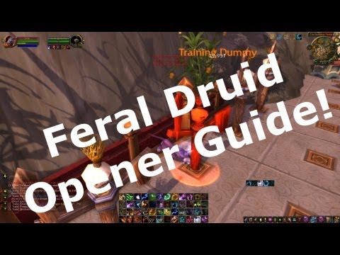 5.4.7 PvP Feral Druid PvP Opener Guide World of Warcraft MoP