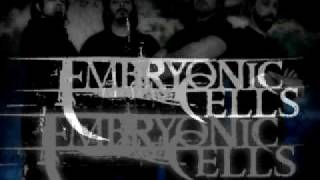 torment of the last lord