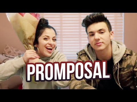 HE PROPOSED?!? | BABY ARIEL & DANIEL SKYE