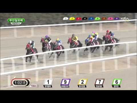 Busan Ilbo Cup 2013 - Dangdae Bulpae