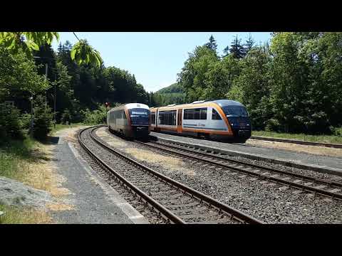 TRILEX Kreuzung in JEDLOVA