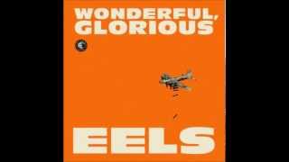wonderful. glorious - eels