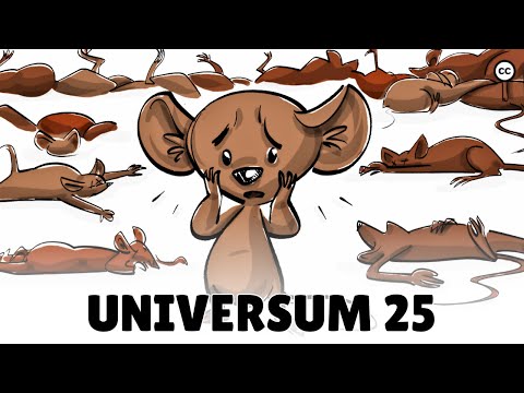 Das "Universum 25" Maus Experiment