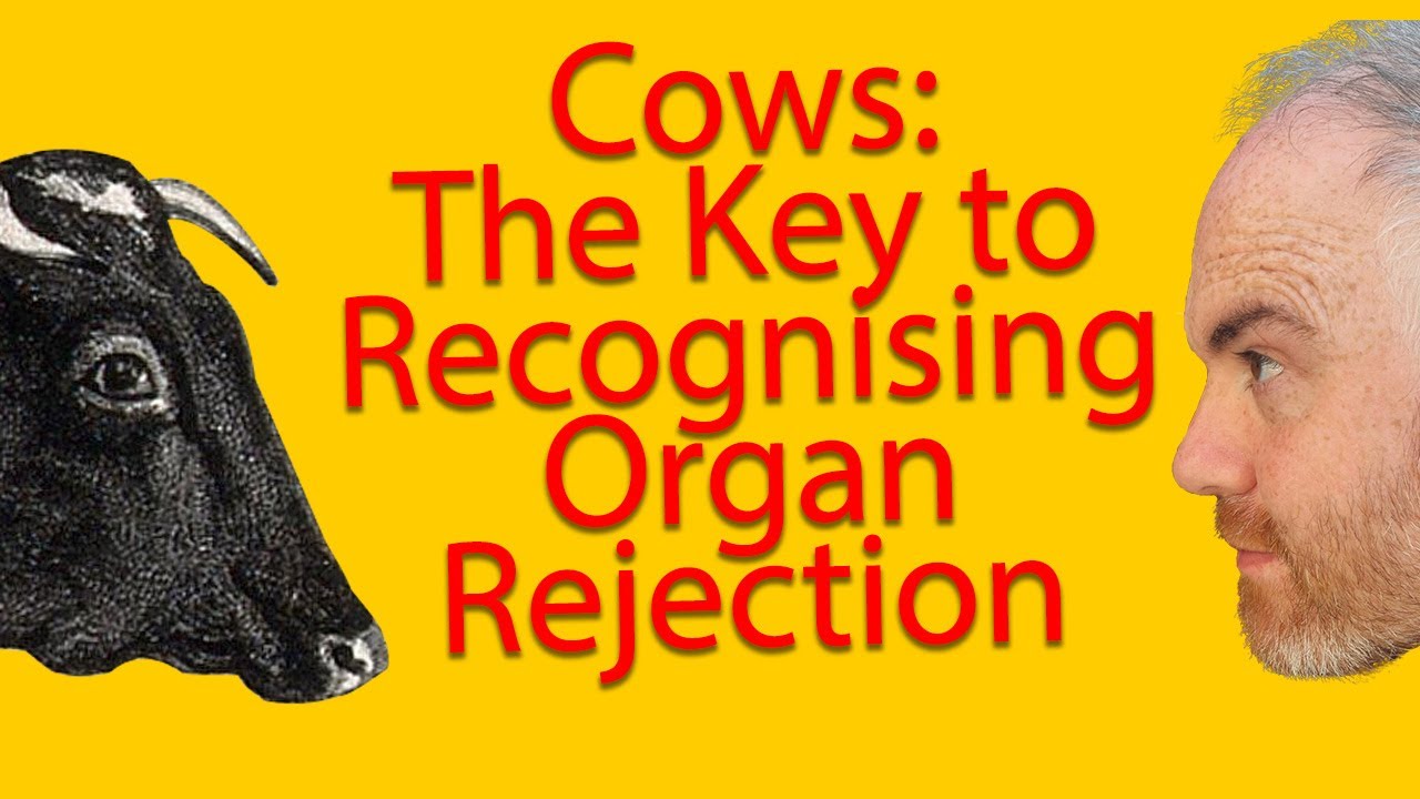 8: The Connection Between Cows and Organ Rejection