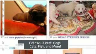 Craigslist Evansville : Local Cars, Trucks, Free Stuff, Personals, Boats, Electronics, Homes
