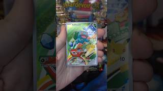 Pokemon illustration collection 2026! Топовый набор? #pokemon #покемонкарты #покемон #pokemontcg