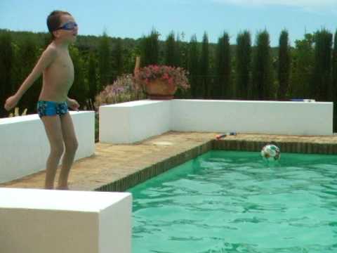 ANDY IS AN AARDVARK copyright PIP