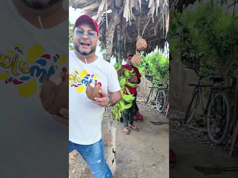 En la vía, desgustando frutos en Abrojal, Cotorra, Córdoba ☀️