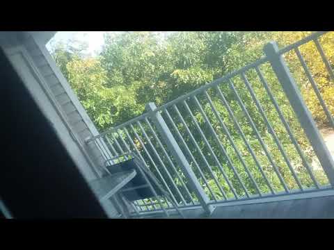 14 APARTMENT PEABODY