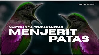 Download lagu MENJERITT PATAS!! MASTERAN FULL TEMBAKAN EDAAN BIKIN LAWAN DROP MENTAL | MASTERAN MURAI KACER CENDET mp3 Download lagu MENJERITT PATAS!! MASTERAN FULL TEMBAKAN EDAAN BIKIN LAWAN DROP MENTAL | MASTERAN MURAI KACER CENDET mp3