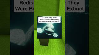 Animals That Were Rediscovered After They Went Extinct