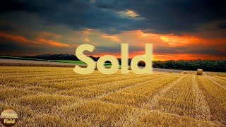 John Michael Montgomery - Sold (The Grundy County Auction Incident) (Lyrics)