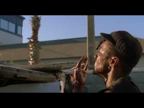 Shottas  Tonto Irie - It a Ring