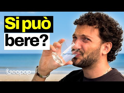 What happens if you drink seawater? Here's why it causes dehydration and bacterial infections.