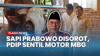 PDIP Tuntut Transparansi Anggaran Sapi Kurban Prabowo Rp100 M, Singgung Pembelian Motor MBG