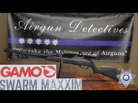 Gamo Swarm Maxxim Multi-Shot, .22 Caliber Air Rifle