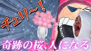 予算1000円でワンピースのコスプレ大会をしたら面白すぎました【ONE PIECE好き芸人たちのよくわからん遊び】