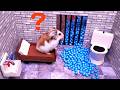 Great Escape In Real Life The World S Dangerous Obstacle Course