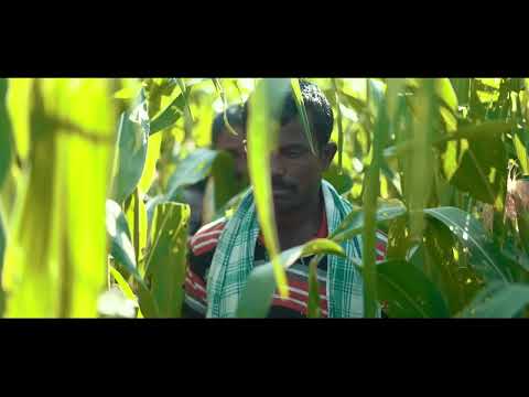 Brand Film