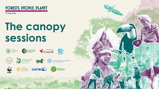 The Canopy Sessions