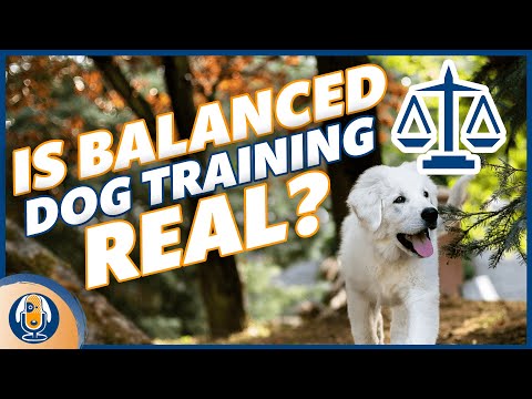 Balanced Dog Training: Does It Really Exist? #146 #podcast
