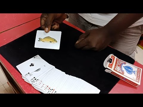 Best Card Magic with surprise wonderful Card Trick by Magician Kalai || Mohans Magic Shop Chennai