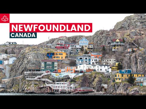 Canada Road Trip: Best Things To Do In Newfoundland