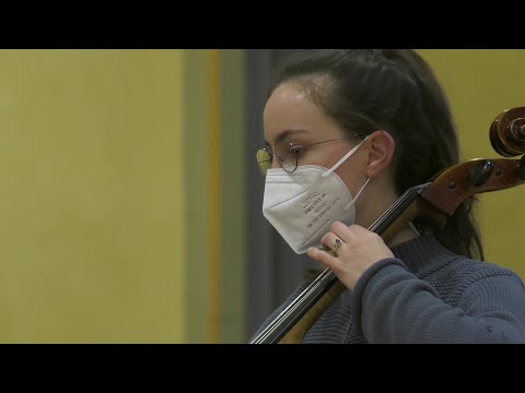 Die Erben des Löwen: Eine Reise in das Leben des Musikers Friedrich von Flotow