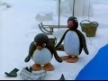 Pingu 15 Minutes 3 Episodes Pingu 36