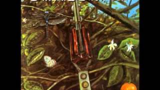 Dragonfly-She Don't Care