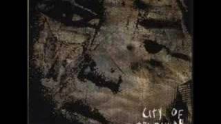 City of Caterpillar-A heart filled reaction to dissatisfacti