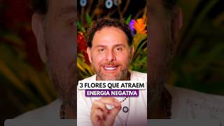 3 FLORES QUE ATRAEM ENERGIAS NEGATIVAS